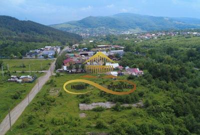 Teren pentru constructie hala indrustriala - Moinesti/Bacau - 3