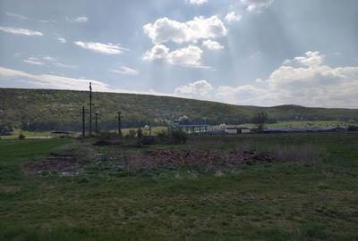 Spațiu comercial, în Gilău - 4