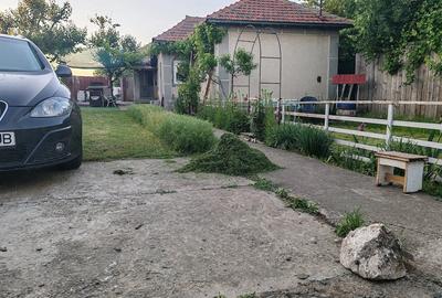 Casă cu 4 camere cu Teren 1600 Mp în Cogealac - 8