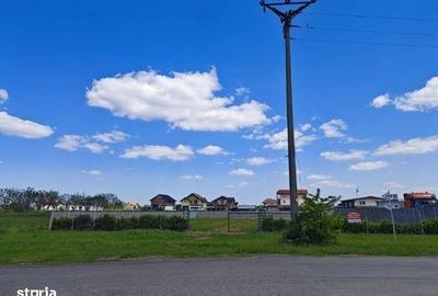 Spațiu comercial, în Șag - 3