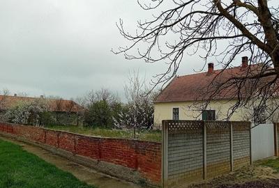 Casă cu Teren 1813 Mp în Hitiaș - 6