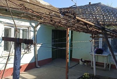 Casă individuală cu 4 camere cu Canalizare în Viile Noi - 2