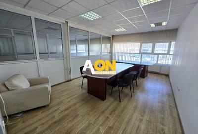 Spațiu industrial, de 560 mp, în Ampoi 1 - 17