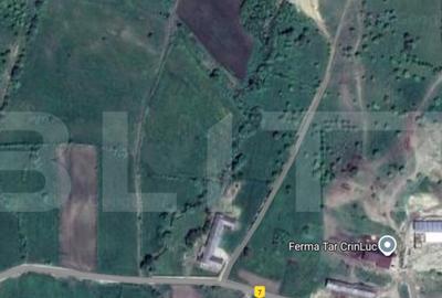 Teren extravilan, ideal investitie, zona Jelna