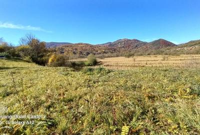 Teren intravilan la munte  Valea Ariesului comuna Salciua jud Alba - 5