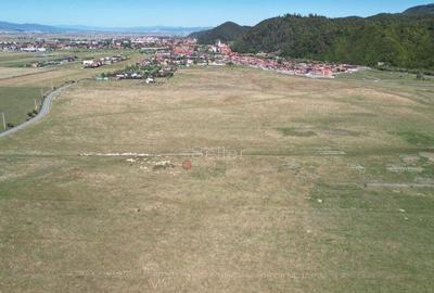 Teren extravilan Rasnov - 8