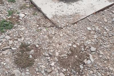 Vind casa si teren in Colacu Dimbovita - 5