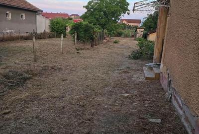 Casă cu 3 camere în Cenad - 4