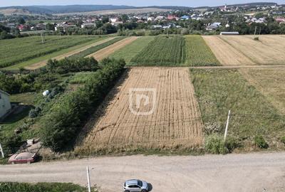 Teren 2000mp INTRAVILAN | Ilisesti | Bucovina - 9