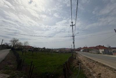 Teren de 1500 mp, în Nord-Est - 4