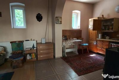Casă cu 3 camere cu Teren 5000 Mp în Comloșu Mic - 9