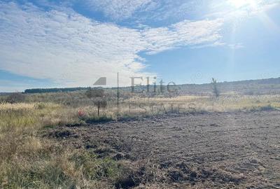 Teren intravilan de vanzare in Cihei - 2