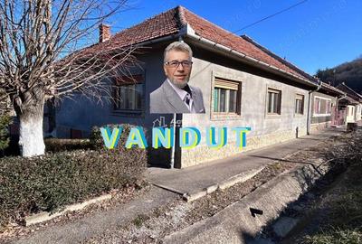 Casă cu 10 camere cu Teren 250 Mp în Bocșa