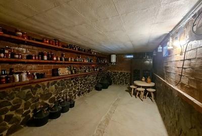 Casă individuală cu 5 camere cu Garaj în Domnești - 22