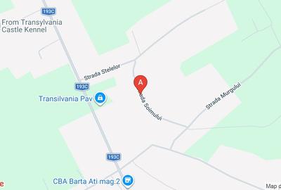 Teren Construcții intravilan de 4100 mp, în Viile Satu Mare - 3