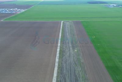 Teren Construcții intravilan de 2000 mp, în Sântandrei - 3