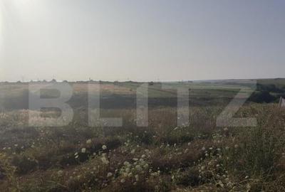 Teren intravilan 5000 mp deschidere 17 ml la DN65 , zona Qfo - 1