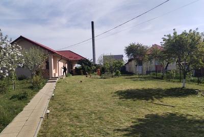 Casă cu 2 camere în Bradu - 2