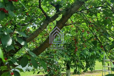 Casă cu 4 camere cu Teren 1600 Mp în Moara - 3