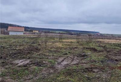 Spațiu comercial, în Păușa - 2