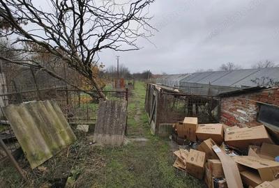 Casă cu 6 camere cu Canalizare în Aradul Nou - 2