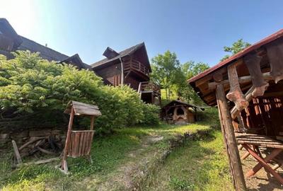 Casa - Vila Rustica - Casa de locuit sau Pensiune - 8