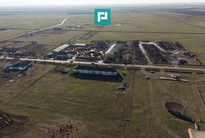 Hală industrială cu teren generos în Zărand, Arad - 58