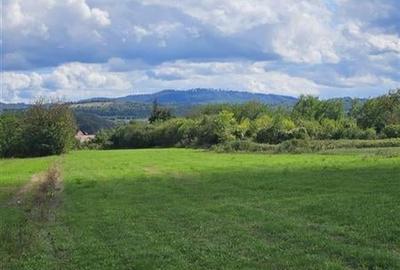 TEREN INTRAVILAN( LOC DE CASA) DE VANZARE IN CASIN