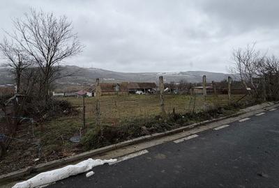 Spațiu comercial, în Păuca - 3