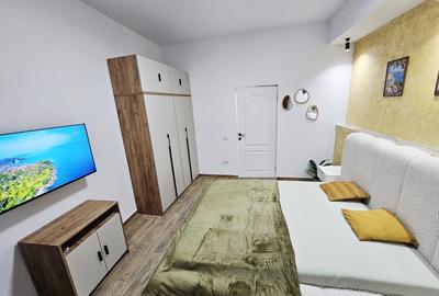 Apartament cu 2 camere semidecomandat, mobilat în Unirii - 7