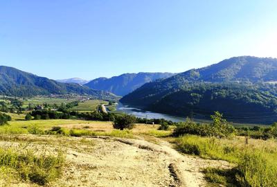 250 Ha TEREN PADURE pe VALEA OLTULUI, in Balota- Racovita, jud. Valcea, acces DE - 3