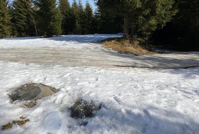 Teren 5000 mp in Baisoara, langa pensiunea Skiland si cabana Merlin! Teren 5000 mp in Baisoara, langa pensiunea Skiland si cabana Merlin! - 2