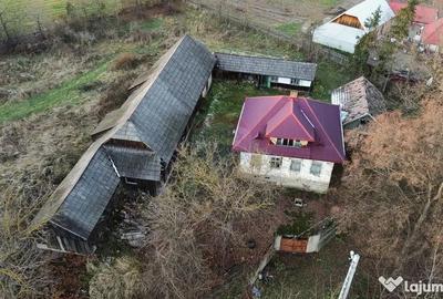 Teren de 10860 mp, în Frătăuții Noi - 11