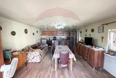 Casă  str. Progresului , Sebes, destinatie : uni/multifamiliala - 8