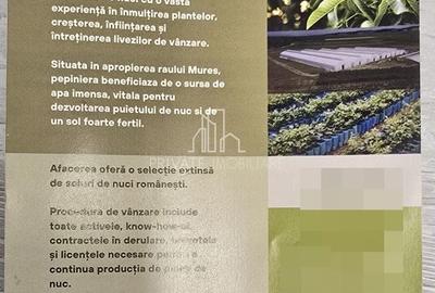 Afacere de Vanzare/ Pepiniera Moderna cu Teren 2,37 Ha, Sg de Mures - 3