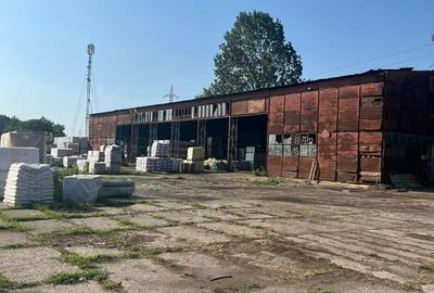 Hal? industrial? + platform? betonat?, zona Sud - 13