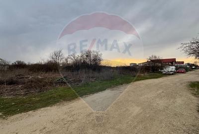 Teren agricol de 2000 mp, în Tărtășești - 6