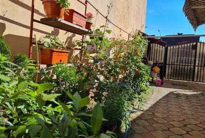 Pe incantare florala, casa cu 5 camere, curte individuala - Central, Brasov - 59