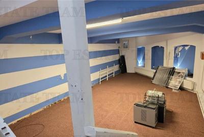 Casa individuala de - zona Domenii - 14