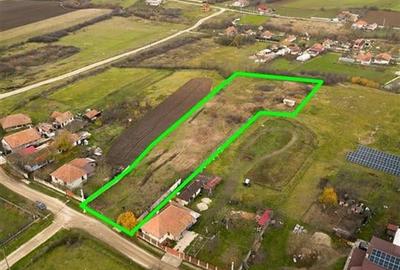 RECO, Teren intravilan, loc de casa in Pausa, Nojorid - 10