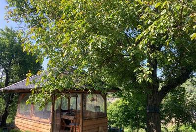 Casă cu 3 camere în Chiojdeni - 5