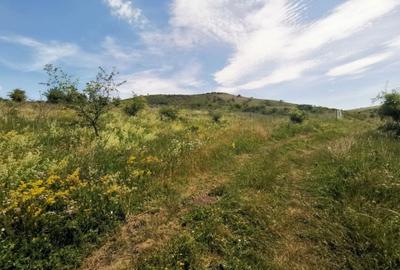 Teren Construcții intravilan de 756 mp, în Chinteni
