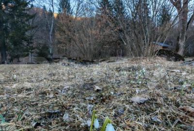 Casa de vacanta de vanzare in Rasnov - Brasov - 20