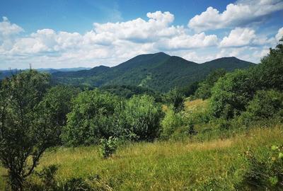 Teren de 37500 mp, în Barbura - 6