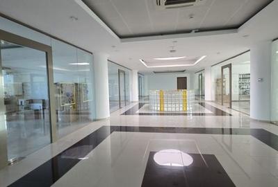 Splaiu Unirii teren 5000 mp Imobil S+P+5 Showroom, Clinica , Birouri , Hotel - 21