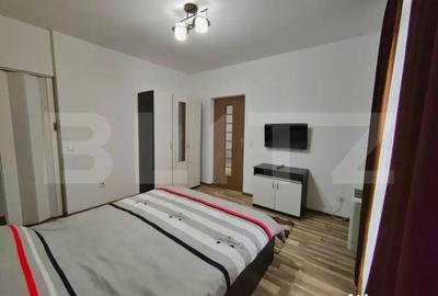 Apartament cu 2 camere semidecomandat în Bariera Vâlcii - 4