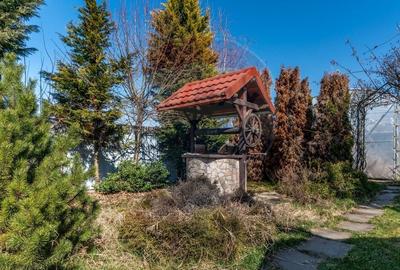 Teren Construcții intravilan de 2491 mp, în Gruia - 4