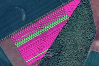 Spațiu comercial, în Lipovu - 1