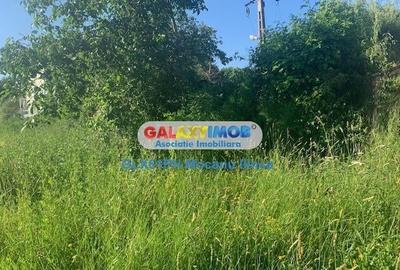 Teren Construcții intravilan de 1193 mp, în Păulești - 6