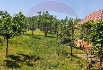 Casa de vanzare in DABACA / teren 2040 mp - 2